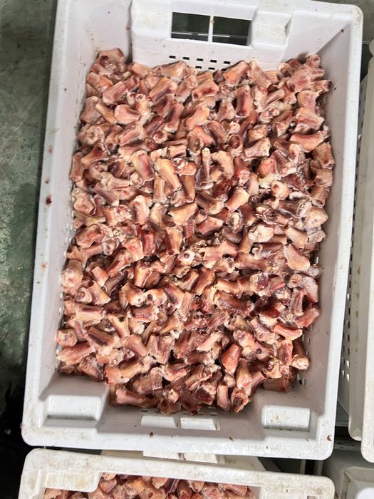 Куриные обрезки для корм