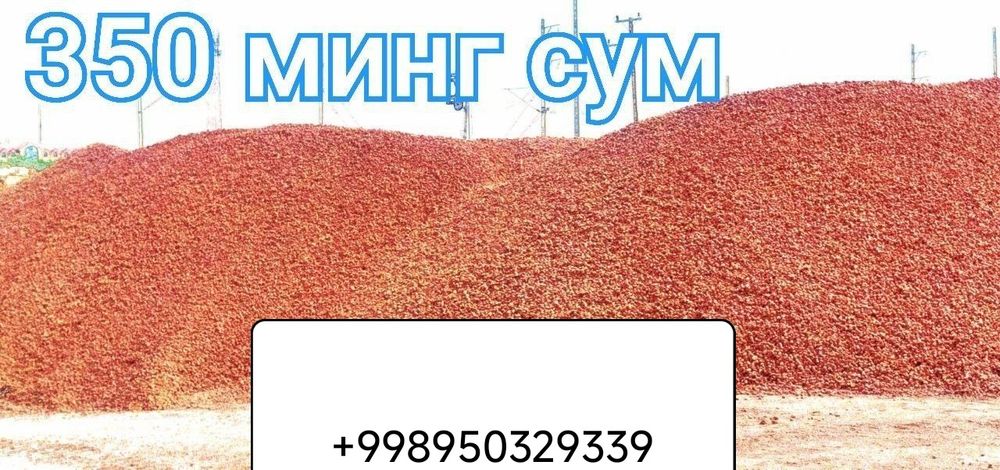 320ming 12vilga yetkazamiz moshina va vagonda