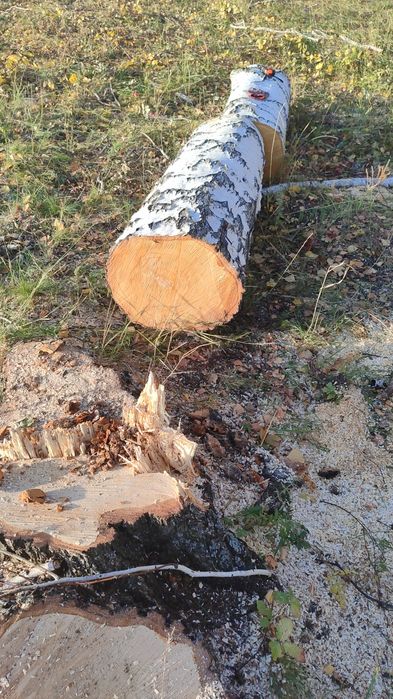 Продам дрова колотые, швырок