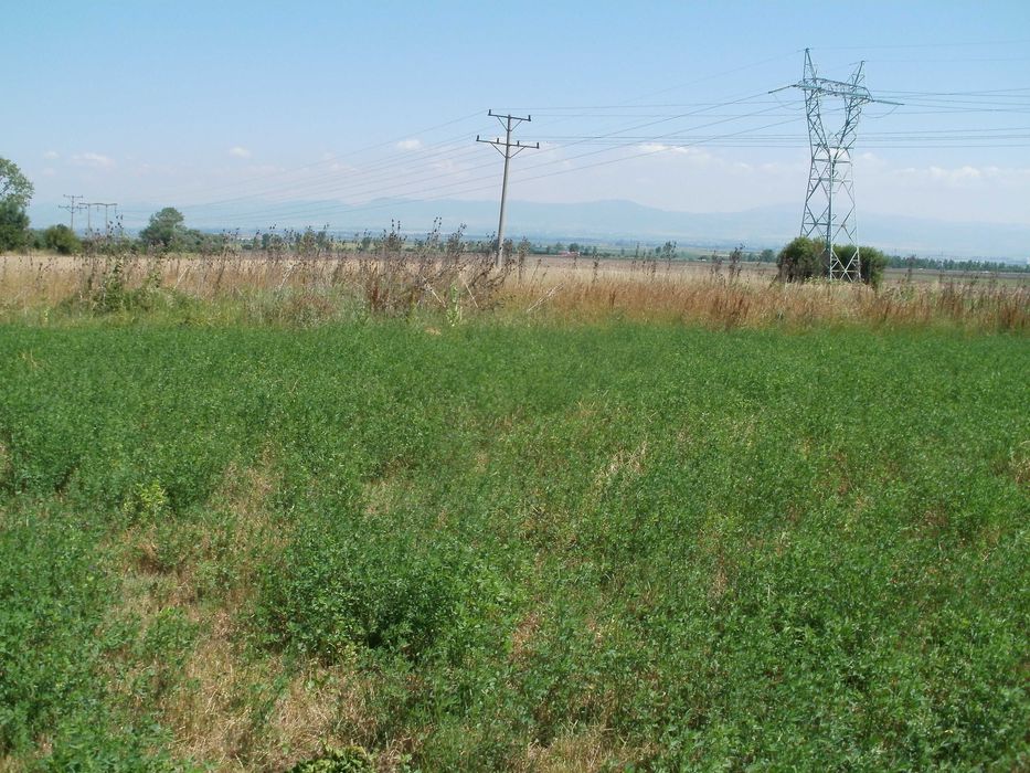 Продава се Земеделски имот в София, Люлин 10 -  кв.м за 27 €/дка - Снимка #3