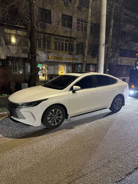 BYD Chazor Luxe 55 km