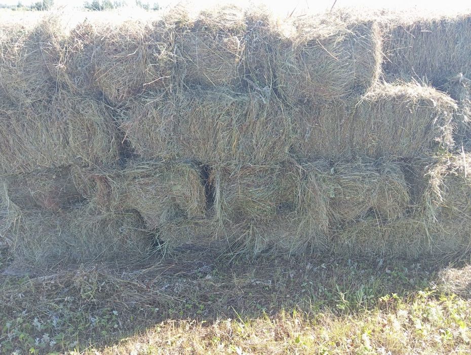 Продам Солому. Сено