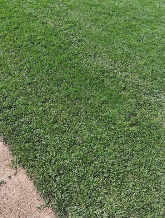 Gazon Rulou sisteme de Irigare