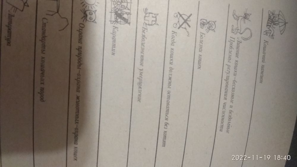 Книга по уходу за кошками