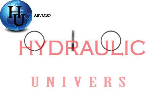 Piese pompe hidraulice Rexroth A8VO55, A8VO80, A8VO107, A8VO140