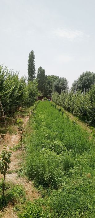 Продается участок - ферма