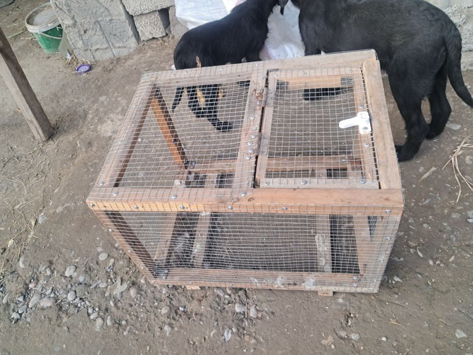 Клетка для птиц и др