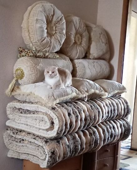 Продаются новые курпоча