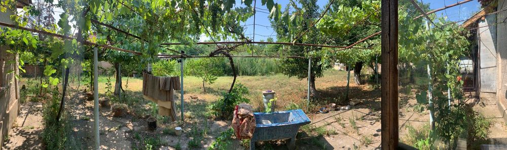 Продава се Къща в с. Долни Луковит, Област Плевен - 70 кв.м за 219 €/кв.м - Снимка #11