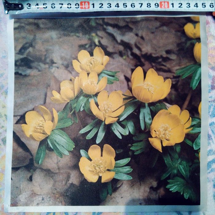 Нов комплект-ръкохватка, ръкавица , кърпа100% памук и шпатула за торта