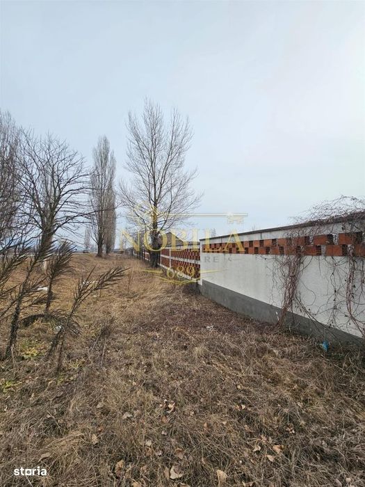 Teren Platou Premium, 57.662 mp, Deschidere Generoasă  400 ml la