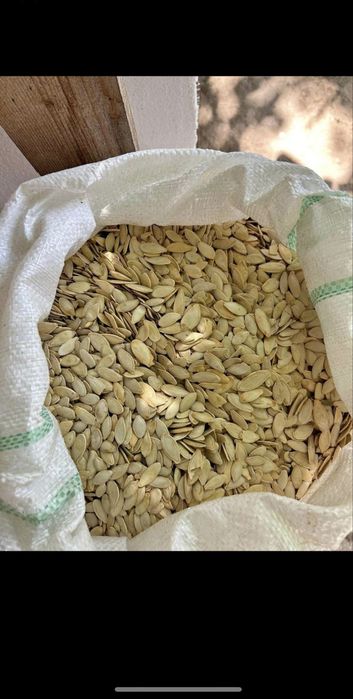 Vand Semințe de dovleac