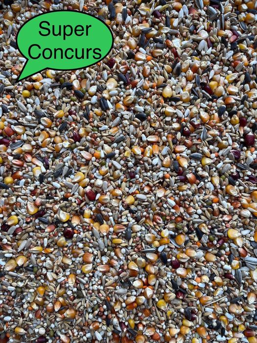 Hrana porumbei / Amestec cereale