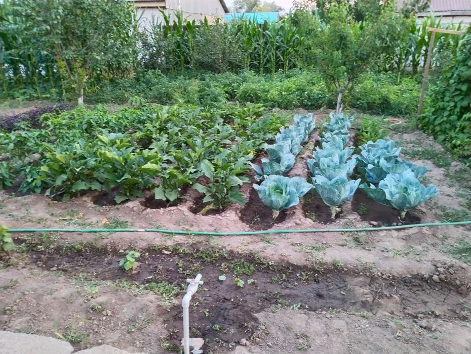 Продам дом 12 соток