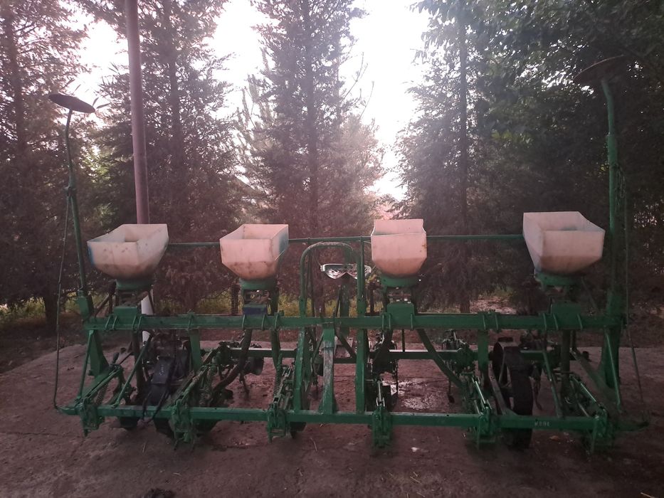 Сеолка сотилад .