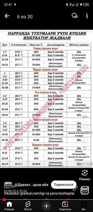 inkubator va bruderlar zakazga yasaladi xammasi orginal va yangi narsa