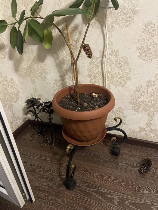 Продам подставку