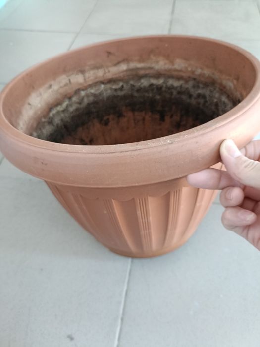 Горшки для цветыов