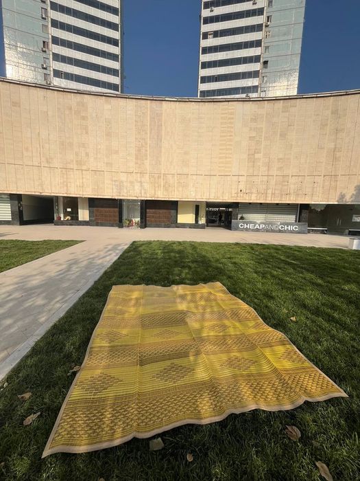 Коврик (палас) из пластмассы