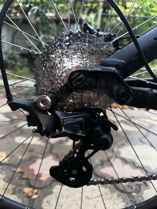 Canyon neuron 2017 AL 29