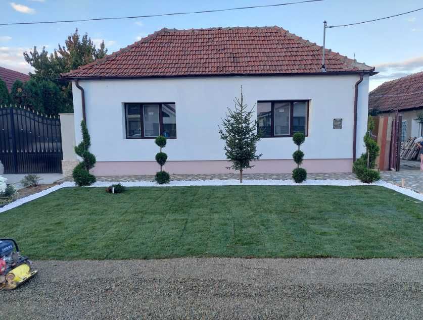 Gazon Rulou  Premium Rustic/Sport