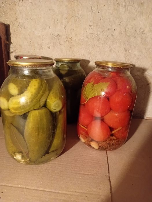 Продам  солёные огурцы