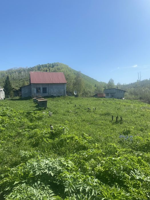 Продам крестьянское хозяйство!