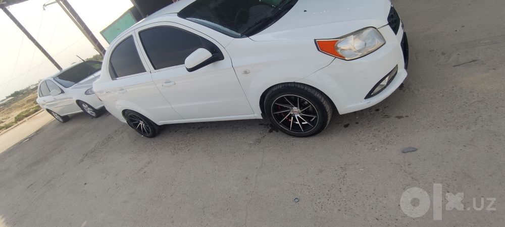 Vossen deska 15 razmeri xolati zur