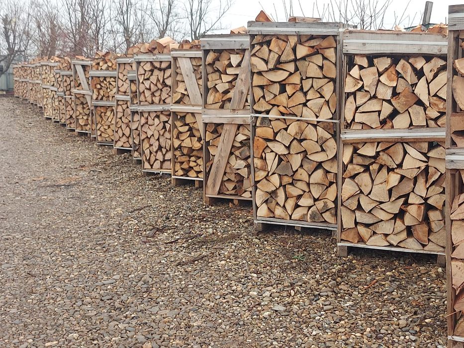 Lemne de foc fag si stejar