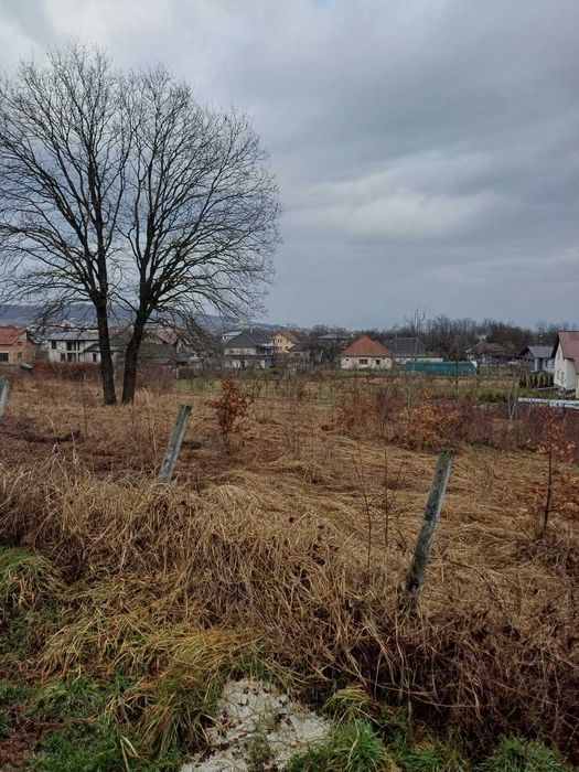 Vand teren intravilan Farcasa, Maramures, 5.300 mp