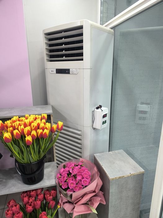 Продам все разом