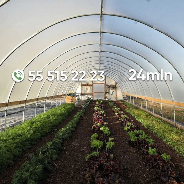 Koreya issiqxonalari, issiqxona uchun materiallar