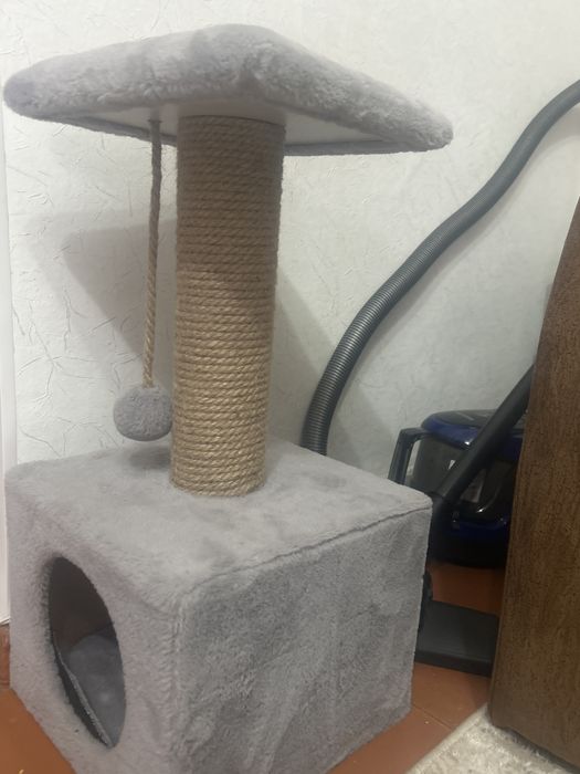 Отдам кошечку в хорошие руки