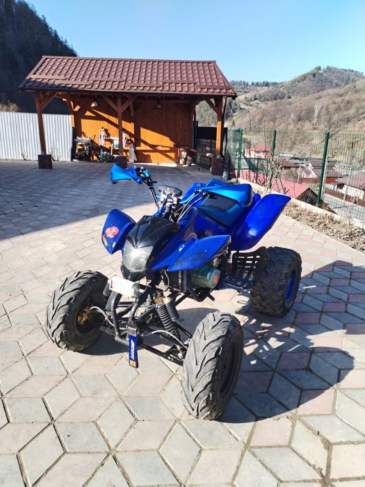 Atv Bashan 250cc manual