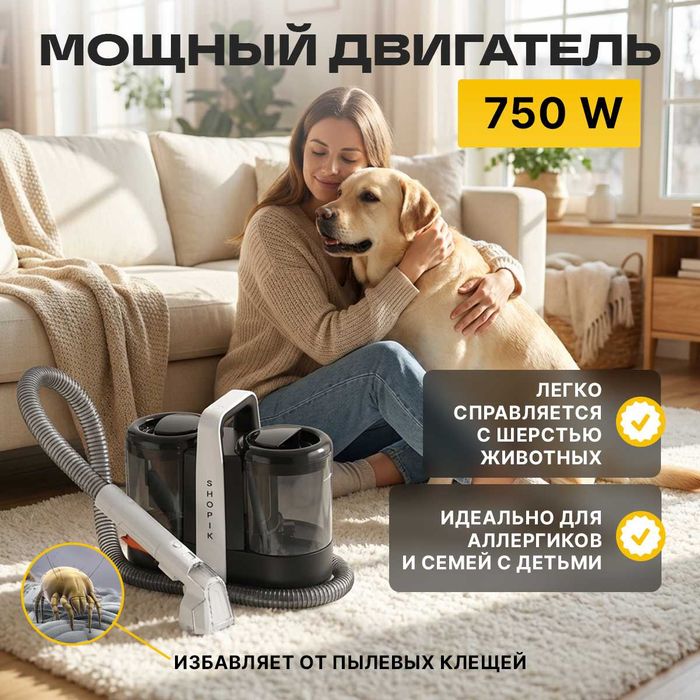 Моющий пылесос для ковров и диванов