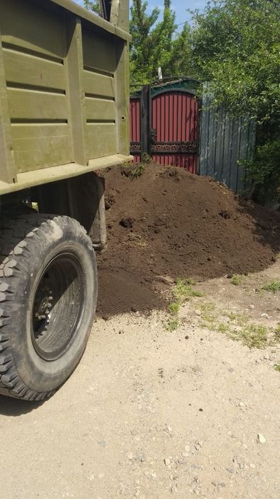 Чернозем горный.