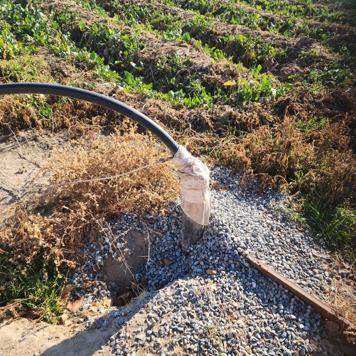 Yer sotiladi 12 sotix