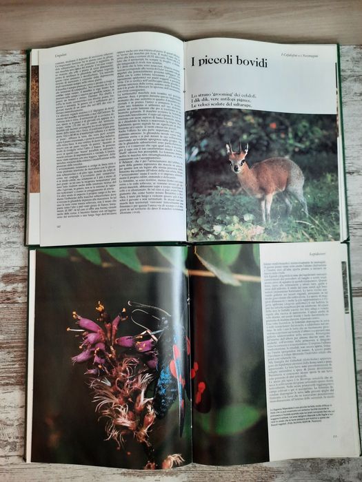 Енциклопедии за животните 5бр.