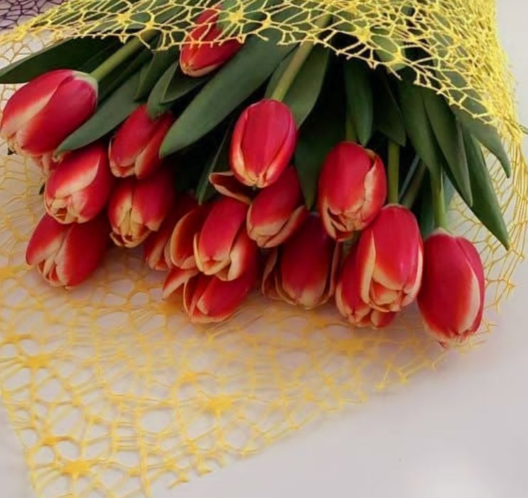 Тюльпаны оптом и в розницу  на 8 марта!!