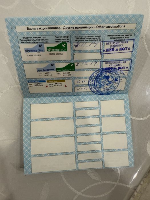 Немецкая овчарка