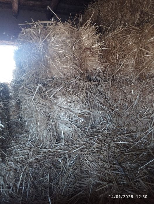 Beda presslari sotiladi.