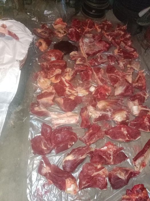 Продам кунан пол