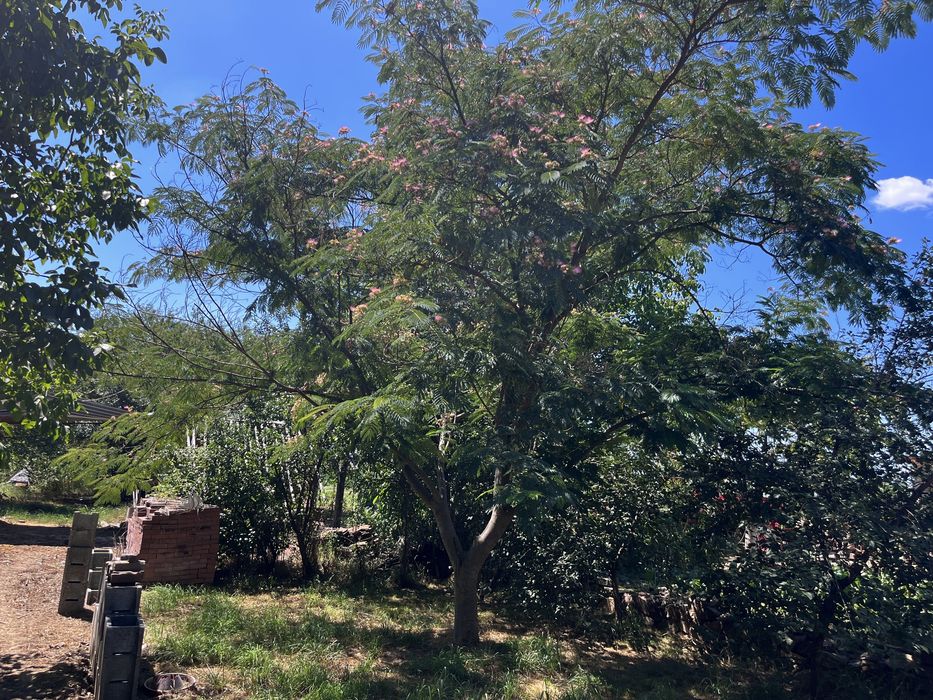 Casă tip vilă de vânzare în Lipova (jud. Arad)