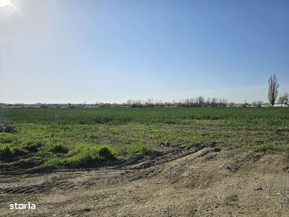 10.100Mp Teren Construcții Intravilan Potigrafu, Deschidere 31M La Dn1