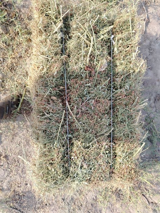 Yantoq kip sotiladi 500 kip bor