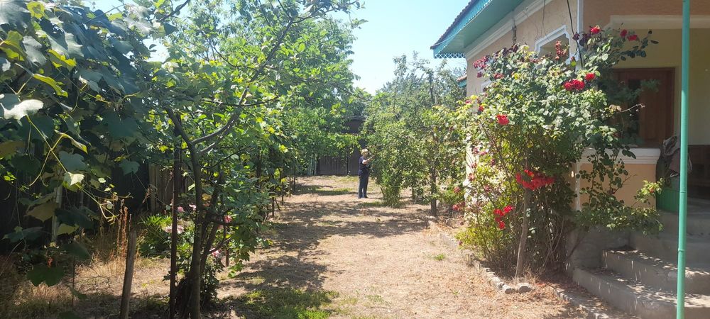 Casă de vânzare într-o zonă de poveste – Frâncești, comuna Peștișani, județul Gorj