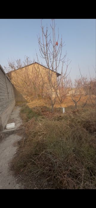 Назарбек тарновда 6 сотих ер