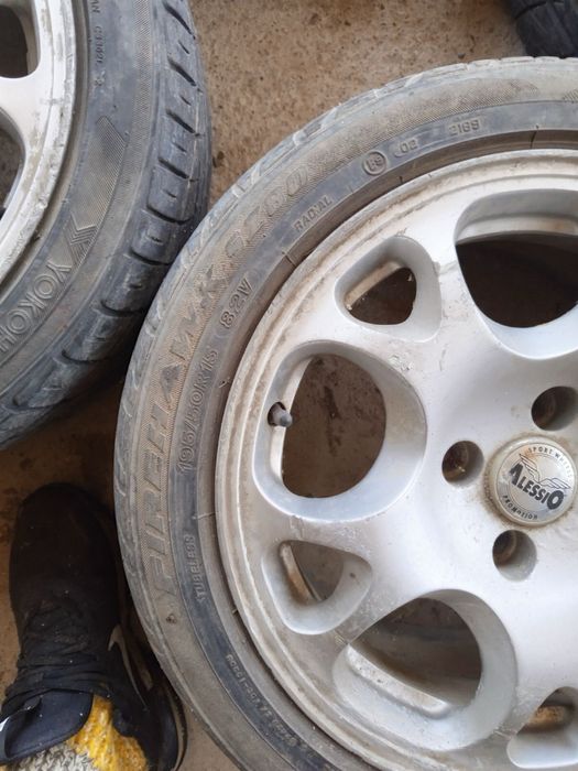 Еленови рога джанти