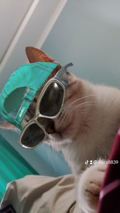 Нежная малышка ищет дом