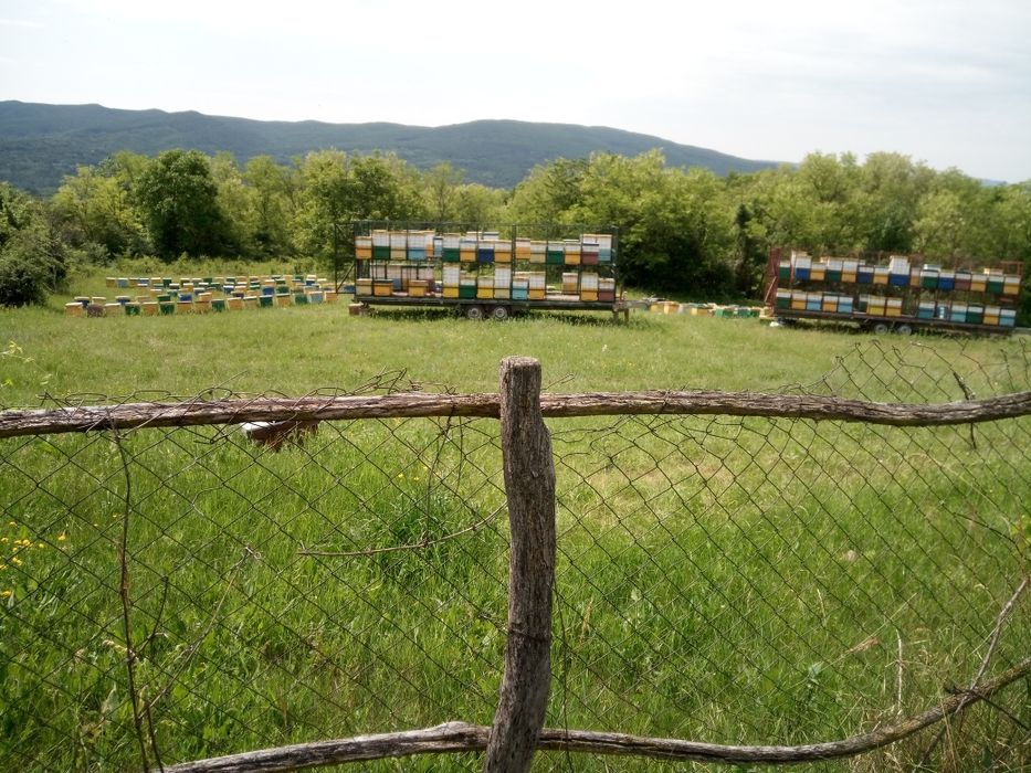 Parcare rulota și ambarcatiuni